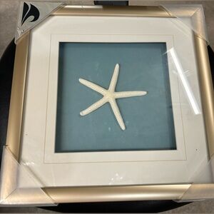 New Framed Starfish Wall Decor